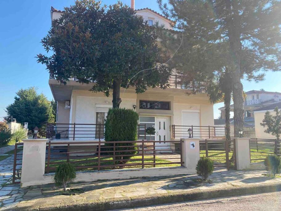 Family'S Home Trikala Bagian luar foto